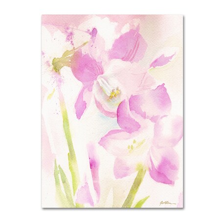 Trademark Fine Art Sheila Golden 'Amaryllis Blossoming' Canvas Art, 35x47 SG5683-C3547GG